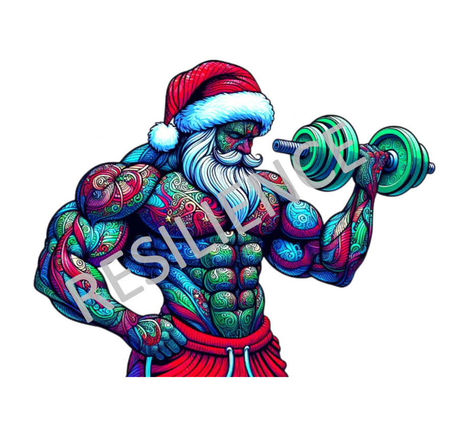🎅🏼 Fit Santa 🎄